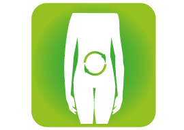 Stoffwechsel und Übergewicht Barbara Schütz